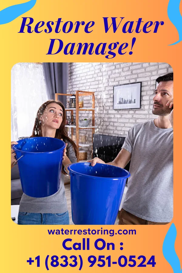 water restoration Prestige Flood Professionals Gibbsboro