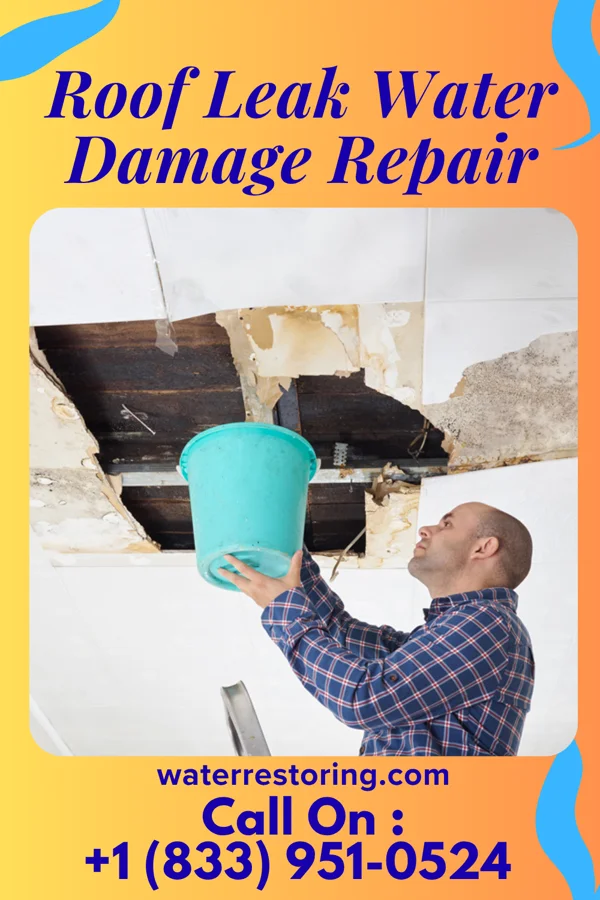 Roof Leak Water Damage Repair in Gibbsboro, NJ