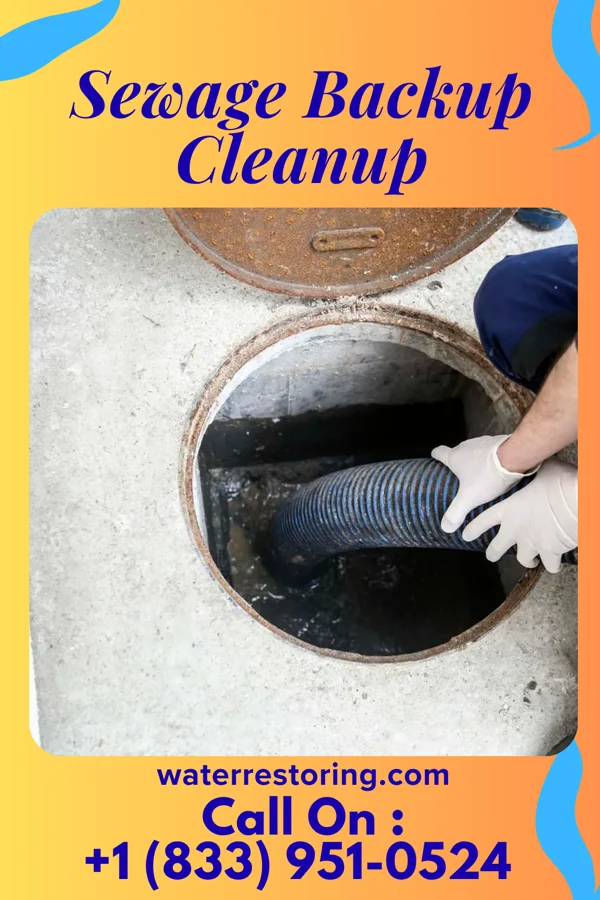 Sewage Backup Cleanup in Gibbsboro, NJ